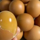 대란과일 이미지