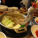 최강낙지 이미지