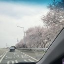 카페글렌대천해수욕장점