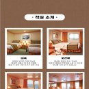 홍콩테라피 이미지