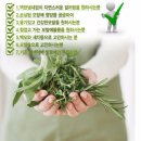 오즈헤어메이크업 이미지