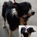 신장로90번길 이미지