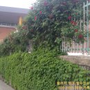 평리중학교 내 이미지