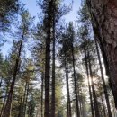 피아노 기본 이미지