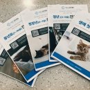 이영수 고양이 병원 이미지