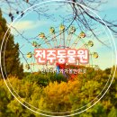 한옥마을 자전거대여소 하천 공중화장실 | 전주 아이와 가볼만한곳 전주동물원