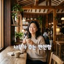 더편안함 티스토리