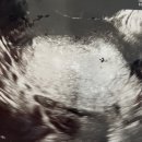 윰산부인과의원 이미지