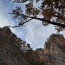 모리의 언덕 이미지