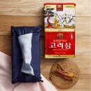 천지인인삼
