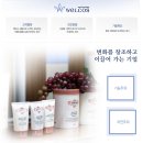 (주)웰코스