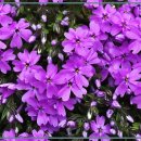 제이그랜드 이미지