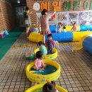 꽃게 의자 이미지