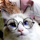 귀족PC방 이미지