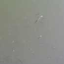 신 안산대학교 이미지