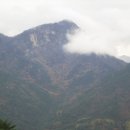 동부 비상-5호 이미지