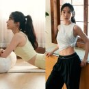 웰니스핏 이미지