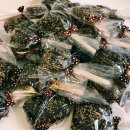 바름태권도장 이미지