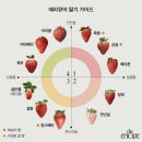 구움카롱 | [2월 일기] 먼 길과 따뜻한 마음으로 가득 찼던 모성 실습