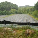 공인중개사사무소아지트 이미지