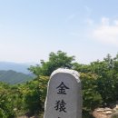 지그린 이미지