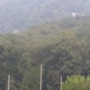 삼산면-1 이미지