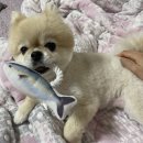 예쁜여우미용실 이미지