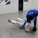 용인대안산유도체육관 이미지