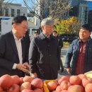 예금보험공사 이미지