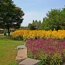 좋은생각 이미지