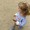 메디셀린 이미지