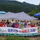 고향농가
