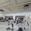 팀보스짐 헬스PT 세류매교점 이미지