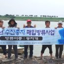 풍성수산 - 수원시 장안구 조원로 85 | 풍성수산