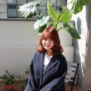 다온미용재료