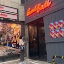 그레잇 벌스 | 분위기 짱 조은 전포 핫플,, 서면 와인바 그레잇벌스💓