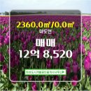 마도공인중개사사무소 이미지