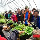 김영자농장 이미지