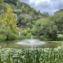 코레일유통(경북) | [반하다! 경북 3UP!] 코레일 티켓값 50% 지원받는...내돈내산 실제 구입 후기/예매 방법/투어054 인증...