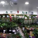 주안꽃화원