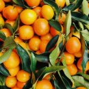 비타민휘트니스 3호점 이미지