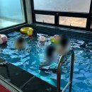 동밀양농협 | 풀빌라 키즈펜션 비교 후 선택한 밀양 아이리움 바이 비클래시 숙박 후기