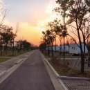 수도권매립지 캠핑장 이미지