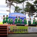 130623 팔봉산 감자 축제 아라메길 걷기 대회 이미지