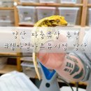 진목로 | 양산 파충류샵 :: 크레스티드게코 전문 파충류샵 렙타일아트뮤지엄 양산점