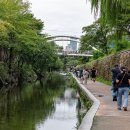 보행자전용도로 3-47 이미지