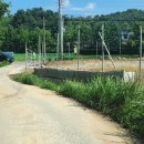 이계신농장 이미지