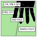 초록연금술사