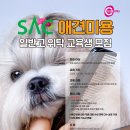 서울종합예술실용학교