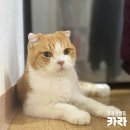유기볼트 이미지